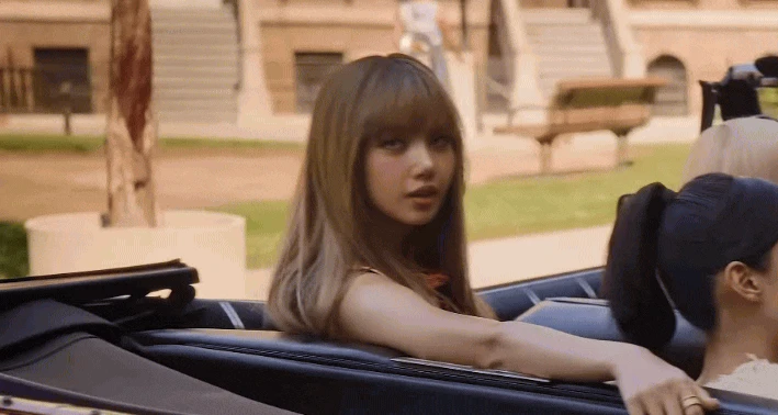 Lisa (BLACKPINK) cứ về Hàn là bị phân biệt đối xử? - Hình 3