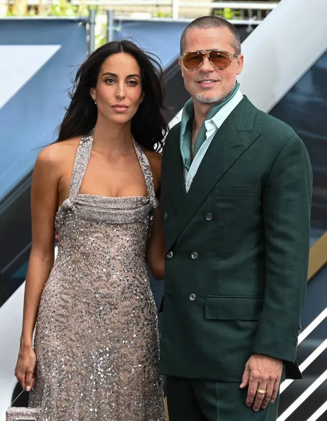 Biệt thự của Brad Pitt bị trộm đột nhập, vợ cũ Angelina Jolie thái độ phớt lờ - Hình 3