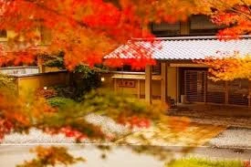 Khách sạn cổ nhất thế giới: 1.317 năm tuổi, vẫn kín phòng mỗi mùa du lịch - Hình 5