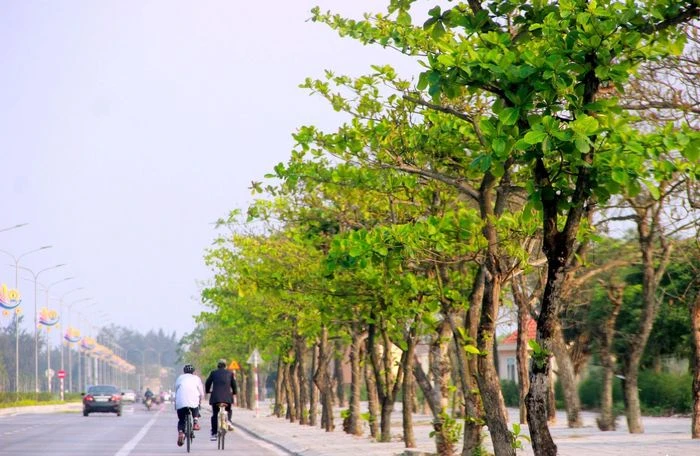 Biển Cửa Lò – Quyến rũ mùa du lịch - Hình 5