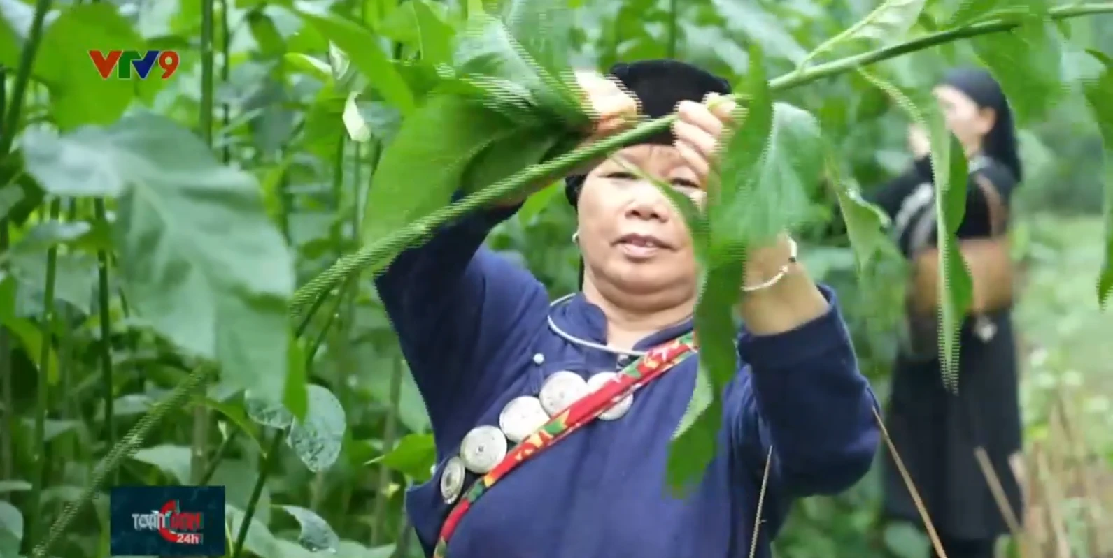Ngôi làng lạ ăn chung nồi, tiền chung túi, khách buộc rửa tay bằng giếng thần - Hình 3