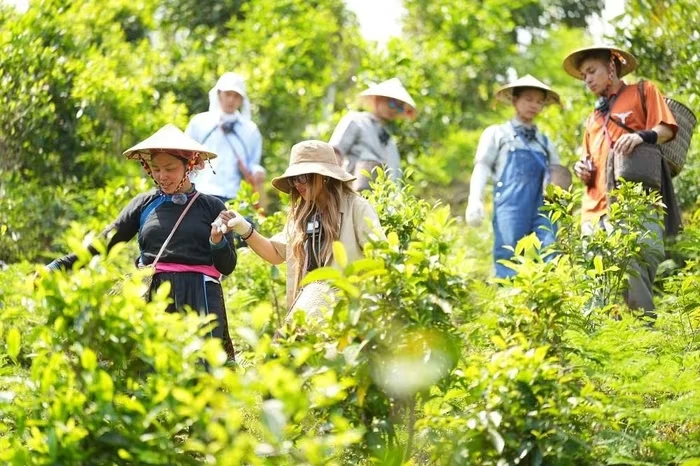 Chị Thông chủ Homestay khắc chế cứng Bùi Công Nam, lộ quá khứ không phải vừa? - Hình 7