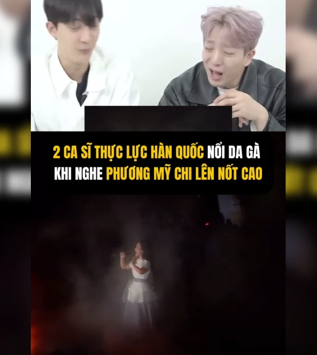 Phương Mỹ Chi làm khán giả quốc tế sốc, nói Trương Lương Dĩnh khó, bị tỏ thái độ - Hình 4
