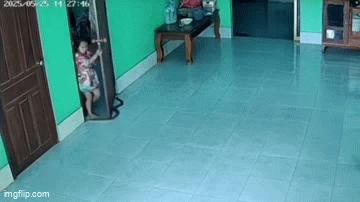 Khối nghỉ hè la hét thất thanh khi bất ngờ giẫm trúng vị khách lạ, phản ứng của đối phương khiến nhiều người nín thở - Hình 1
