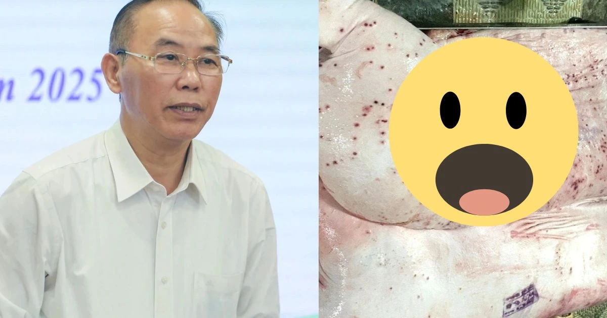 Vụ C.P Việt Nam hủy heo bệnh cho cá ăn: nghi bịa chuyện xoa dịu dư luận? - Hình 7