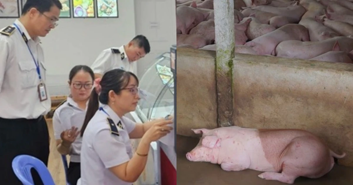 Vụ C.P VN nghi bán heo bệnh: Kiểm tra 9 cửa hàng ở Bình Dương, kết quả sốc - Hình 7