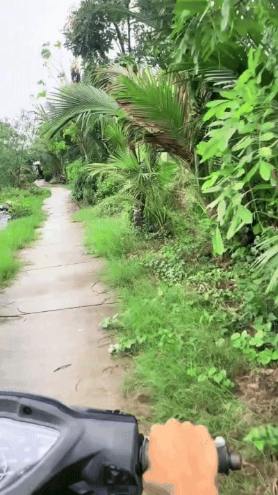 Căn nhà ở Cà Mau có con đường đâ.m xuyê.n, ngày đêm phải mở cửa cho xe máy chạy qua - Hình 1