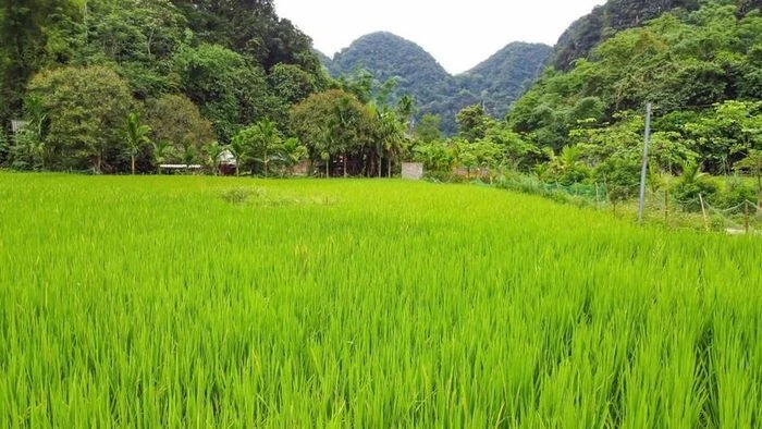 Lạc bước tới cổng nhà trời - Hình 11