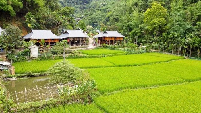 Lạc bước tới cổng nhà trời - Hình 3