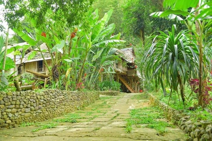 Lạc bước tới cổng nhà trời - Hình 9