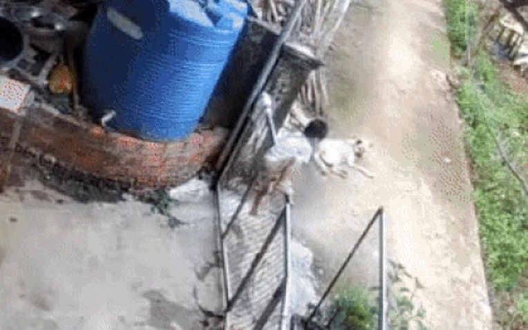 Búp măng non vượt ngàn chông gai để trốn nhà đi chơi, xem lại camera, mẹ bé muốn cạn lời khi thấy con ôm bạn tri kỷ ngủ giữa đường! - Hình 1
