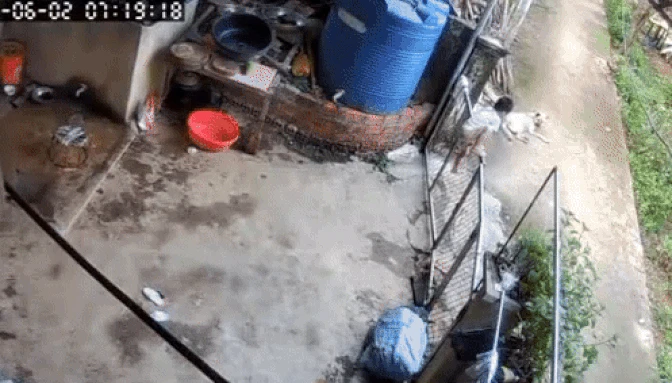 Búp măng non vượt ngàn chông gai để trốn nhà đi chơi, xem lại camera, mẹ bé muốn cạn lời khi thấy con ôm bạn tri kỷ ngủ giữa đường! - Hình 2