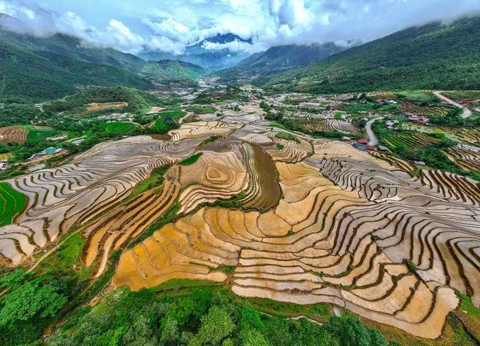 Ngắm ruộng bậc thang Y Tý mùa đổ ải - Hình 5