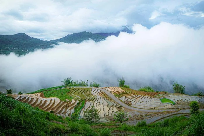 Ngắm ruộng bậc thang Y Tý mùa đổ ải - Hình 9