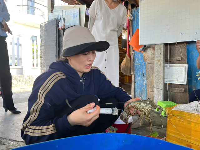 Vụ tôm hùm tăng ký bất thường dù đã ngủm: bắt tận tay người bán phù phép 1 thứ - Hình 2