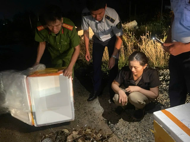 Vụ tôm hùm tăng ký bất thường dù đã ngủm: bắt tận tay người bán phù phép 1 thứ - Hình 4