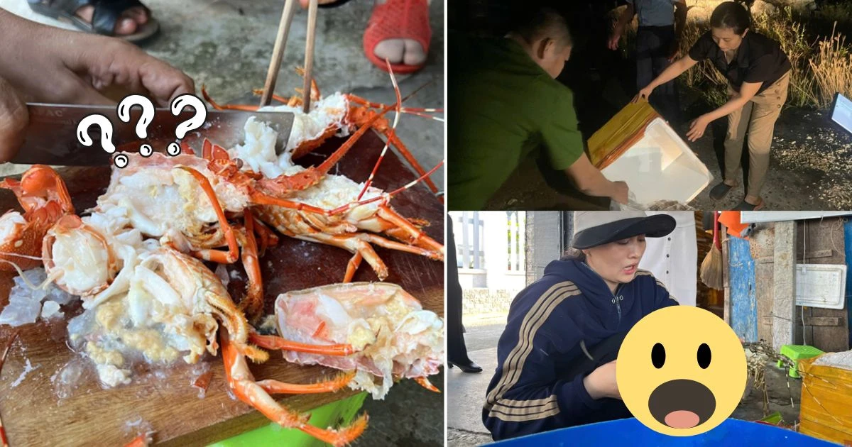 Vụ tôm hùm tăng ký bất thường dù đã ngủm: bắt tận tay người bán phù phép 1 thứ - Hình 8