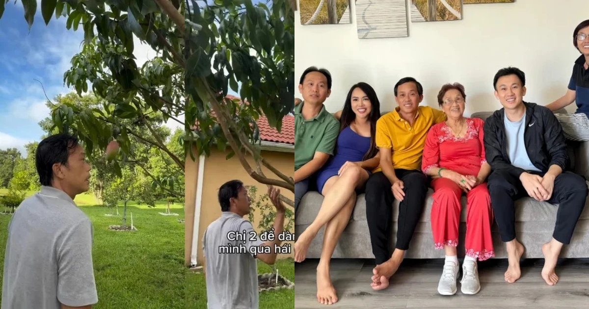 Hoài Linh sau ồn ào từ thiện: Rút lui hay chuẩn bị cho cú trở lại ngoạn mục? - Hình 7