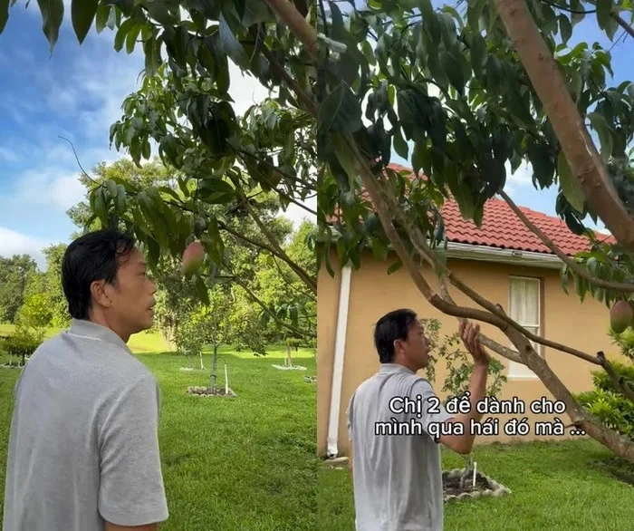 Hoài Linh sau ồn ào từ thiện: Rút lui hay chuẩn bị cho cú trở lại ngoạn mục? - Hình 5