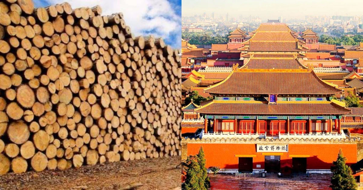 Tử Cấm Thành 600 năm không hư, đến mối cũng chào thua: Có bùa chống hủy diệt? - Hình 8