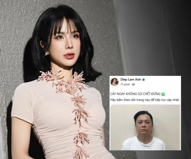 Diệp Lâm Anh phản bác tin đồn bị bắt, nhắc thẳng Công Trí, tình trẻ thái độ lạ - Hình 1