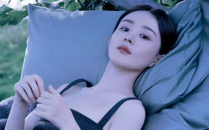 Triệu Lệ Dĩnh lộ ảnh dạo phố bị fan chê xuề xòa, nổi tiếng bao năm vẫn kém sang - Hình 2