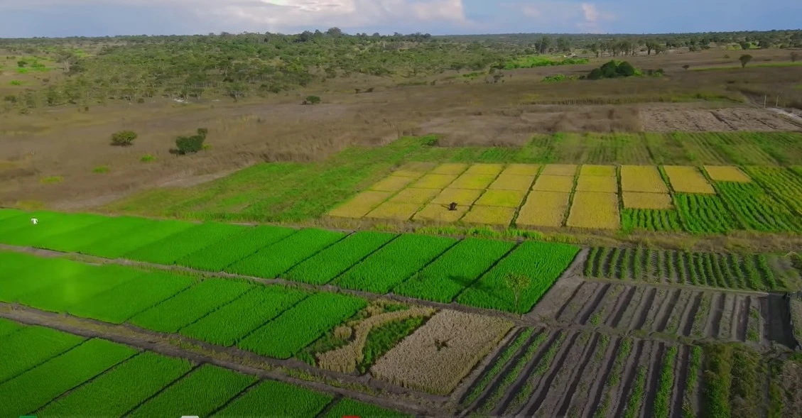 Trang MXH của Quang Linh hoạt động trở lại, chị gái bức xúc, nhắn em trai 1 câu - Hình 7