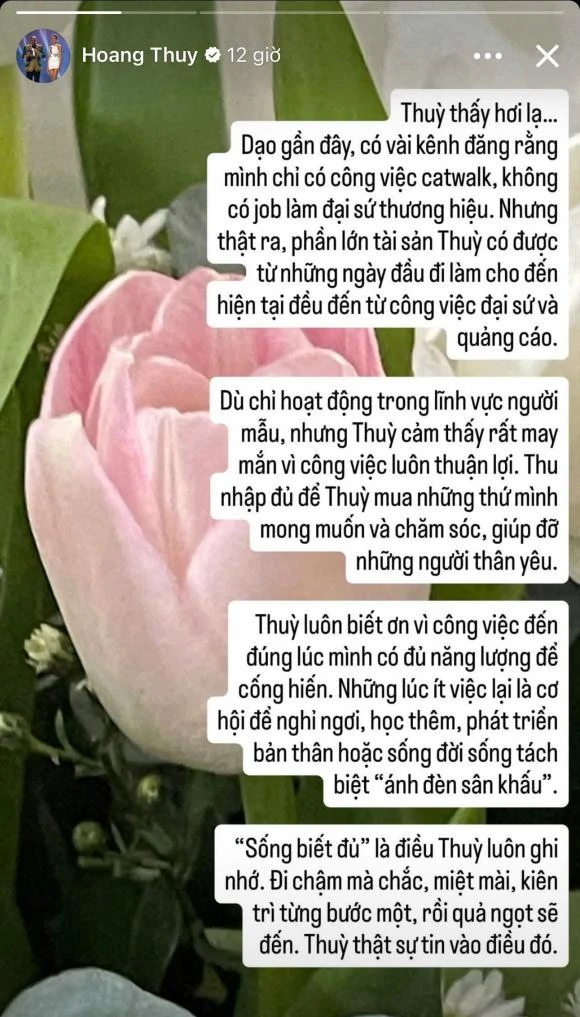 Hoàng Thùy bị tố mỉa mai hết thời, đáp trả gắt, lộ thu nhập cực khủng - Hình 2