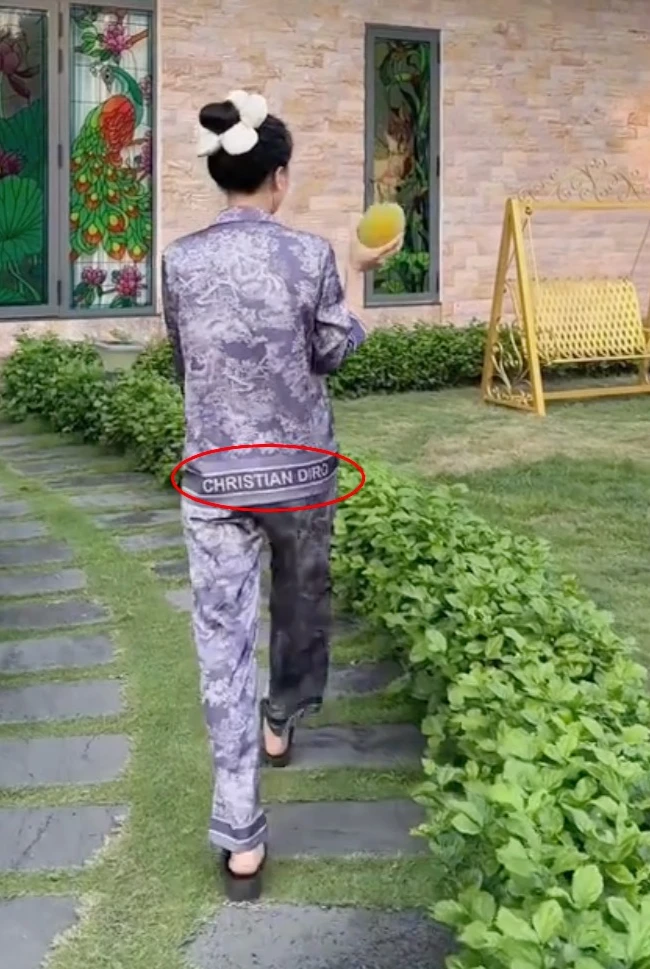 Ngân Collagen pha-ke thư LV, dân mạng bóc đống lỗi, so với Tóc Tiên lòi chiêu! - Hình 4