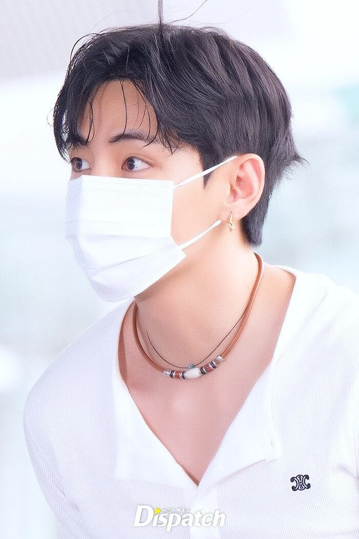 V (BTS) hoảng loạn ôm mặt giữa biển fan cuồng, sân bay Incheon vỡ trận! - Hình 2