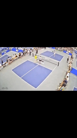 Xôn xao vụ VĐV pickleball cầm vợt tấn công trọng tài tới tấp tại Hải Phòng - Hình 2