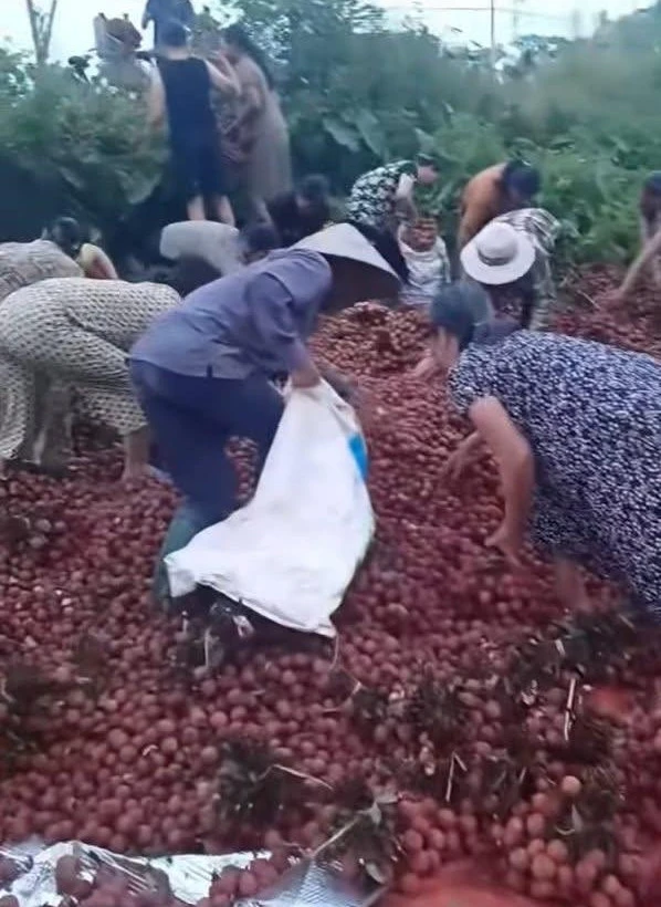 Tài xế chất vải ven đường để sửa xe bị lật, người dân tưởng hàng bỏ thi nhau lấy - Hình 4