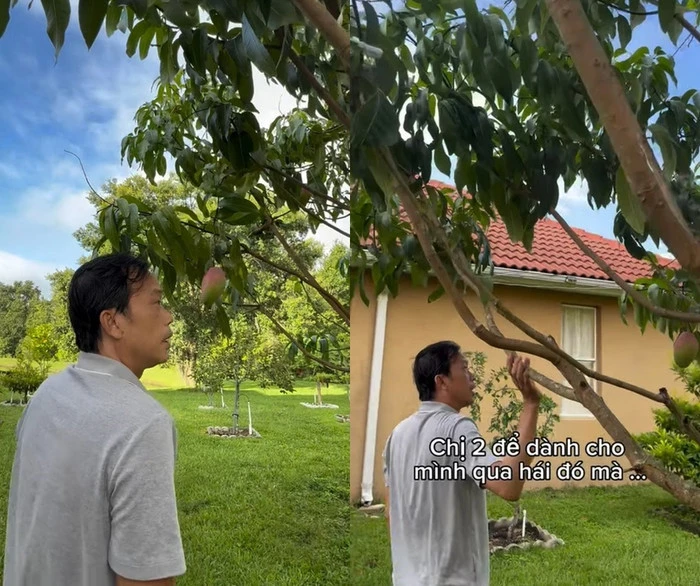Hoài Linh xa hoa giữa trời tây sau ồn ào 14 tỷ, lộ tài sản khủng đáng kinh ngạc - Hình 3