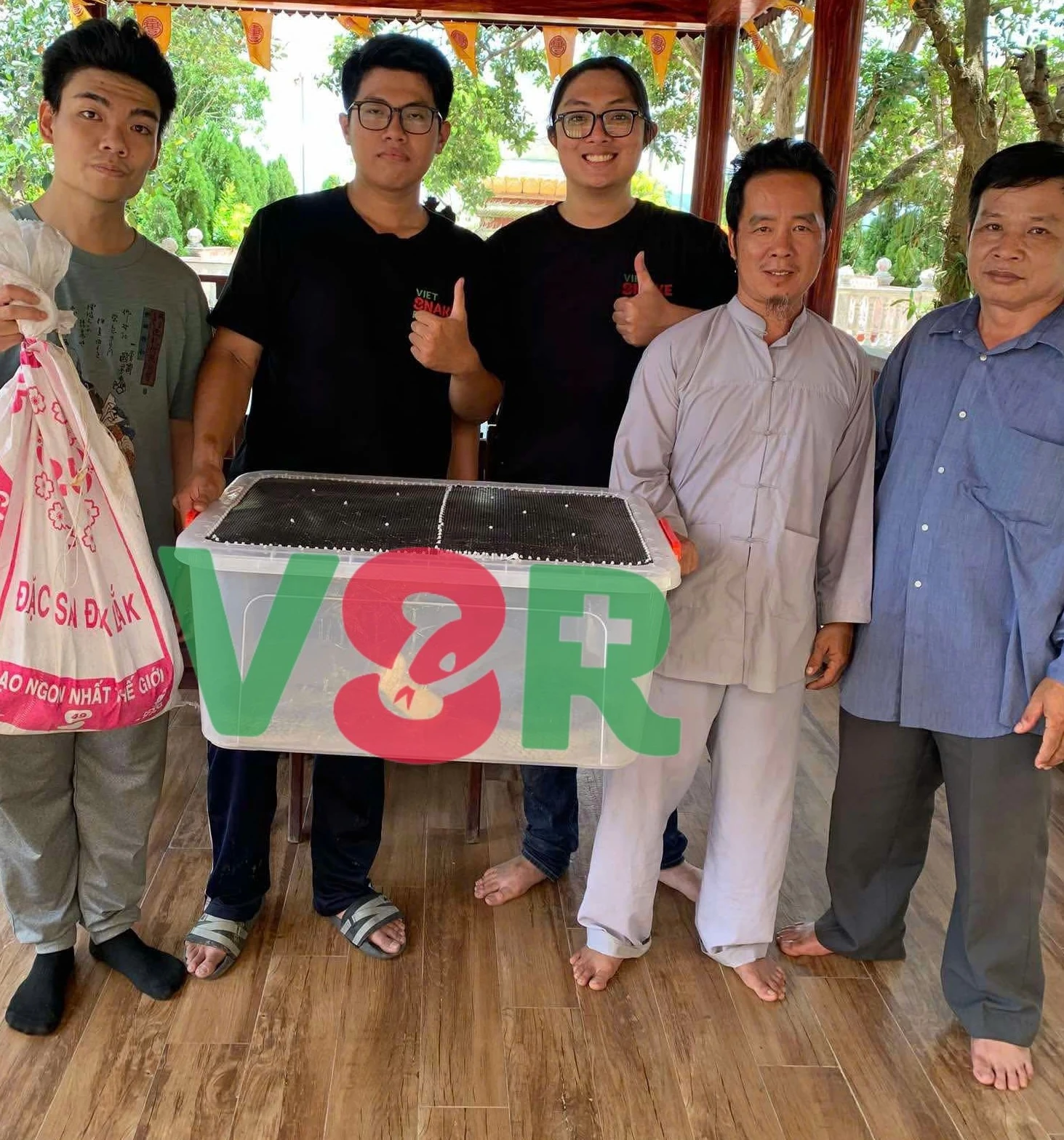 Xôn xao clip một TikToker phóng sinh bầy rắn hổ mang chúa mới nở - Hình 2