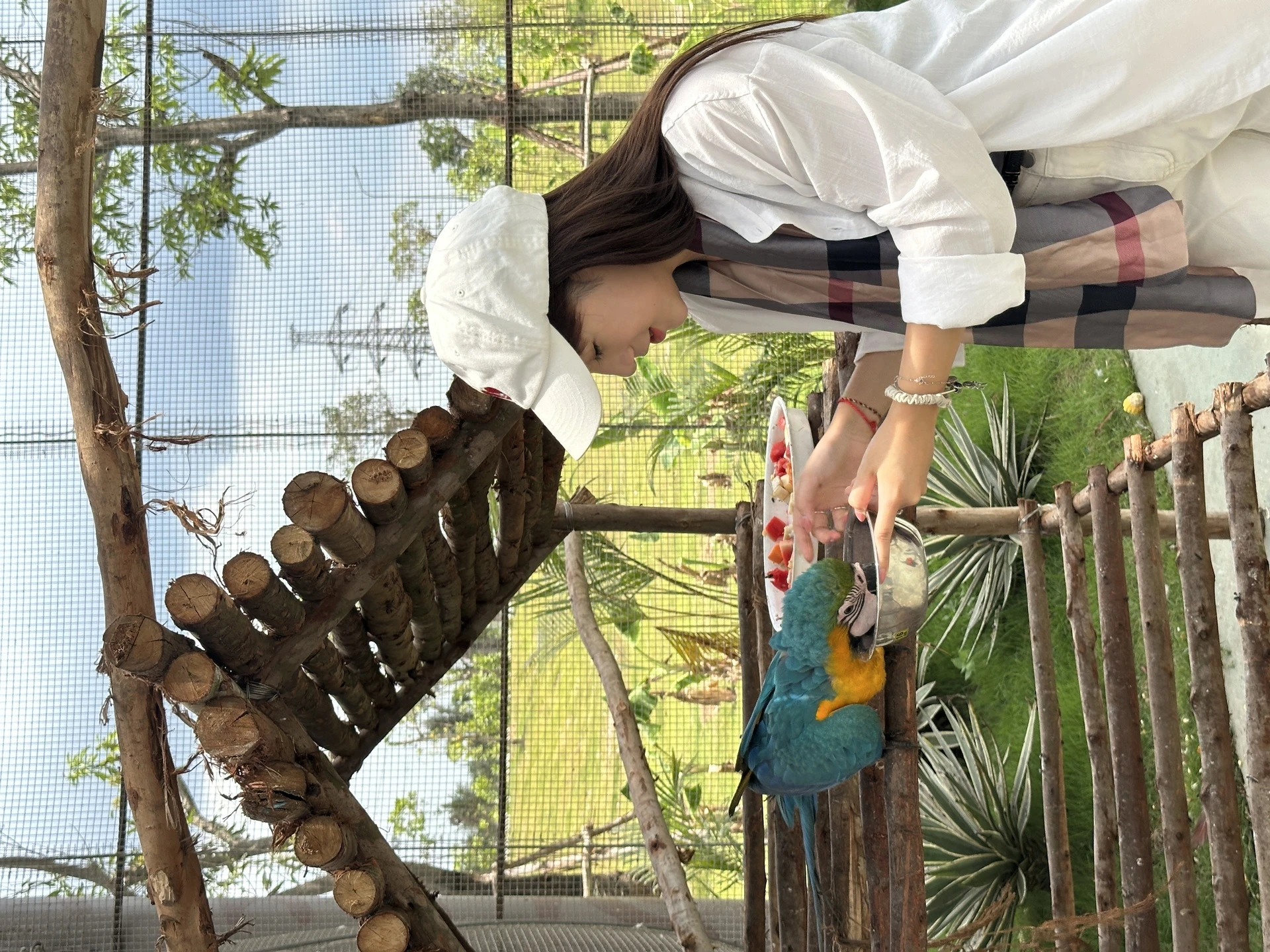 Khám phá công viên giải trí và vườn thú lớn nhất miền Bắc tại Hải Phòng - Hình 14