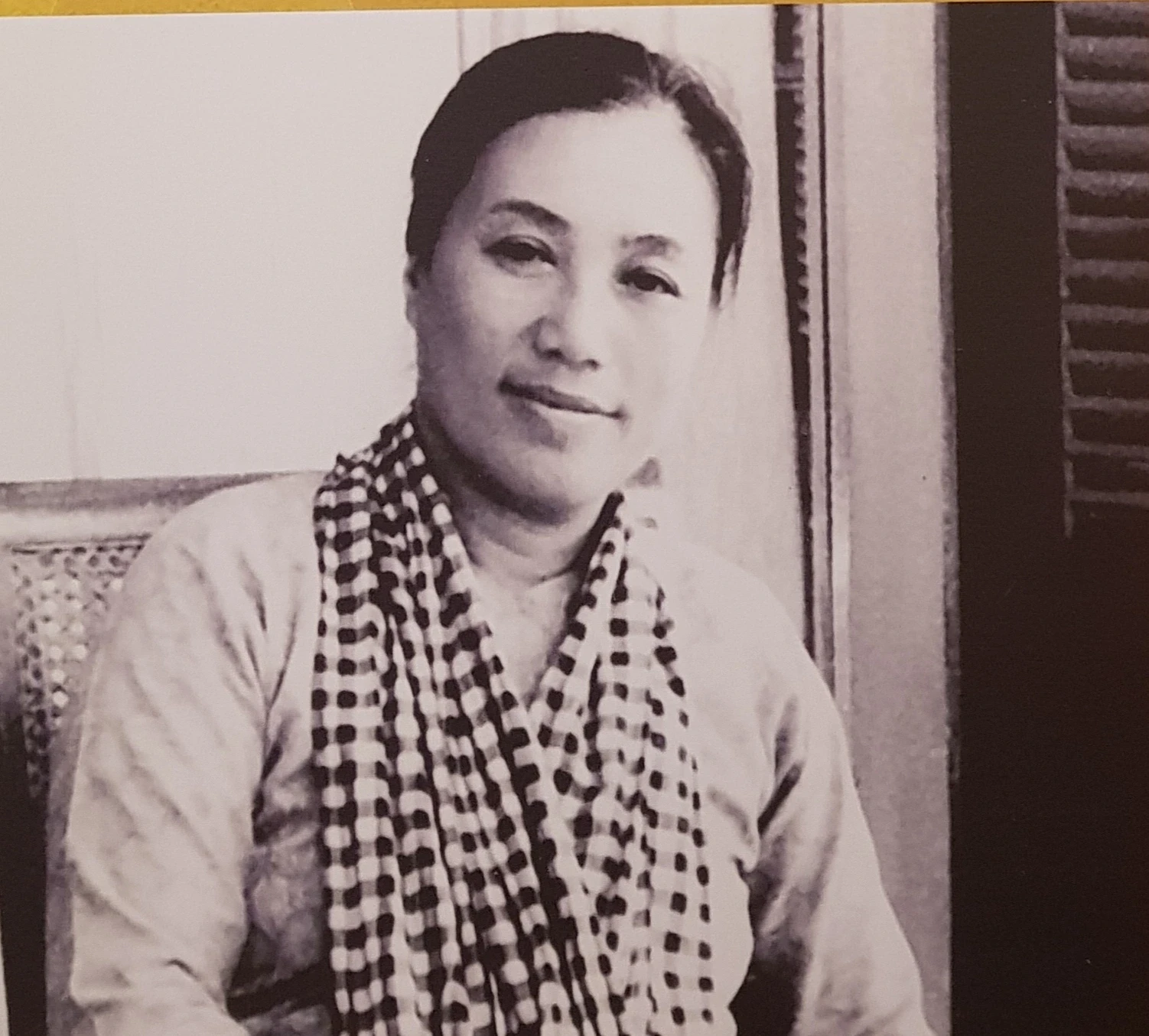 Madame Bình: Bông hồng thép của Việt Nam, một câu nói khiến cả TG kinh hoàng - Hình 3