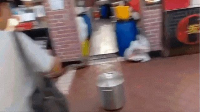 Đi uống cà phê bất ngờ gặp trăn khủng, cả quán đồng loạt hợp sức để vây bắt vị khách không mời - Hình 4