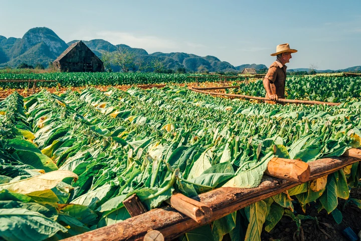 4 điểm đến không thể bỏ lỡ khi du lịch Cuba - Hình 2