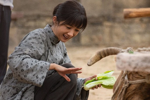 Sinh Vạn Vật: thu về triệu lượt truy cập mỗi ngày, Dương Mịch lấy lại hào quang - Hình 1