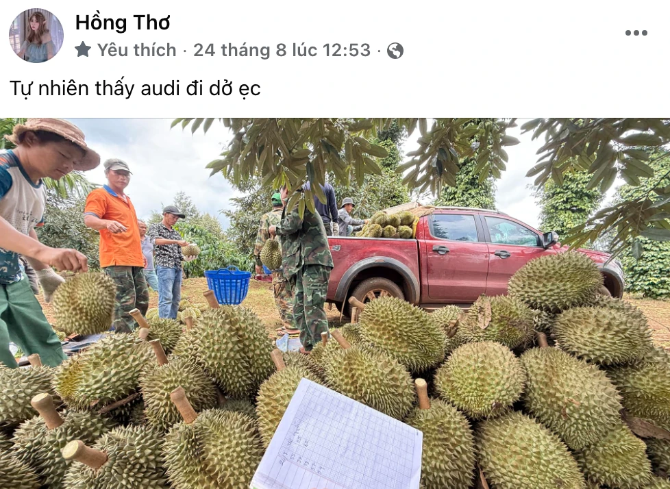 Thơ Nguyễn đăng đàn tuyển chồng, hứa tặng đối phương tài sản khủng - Hình 3