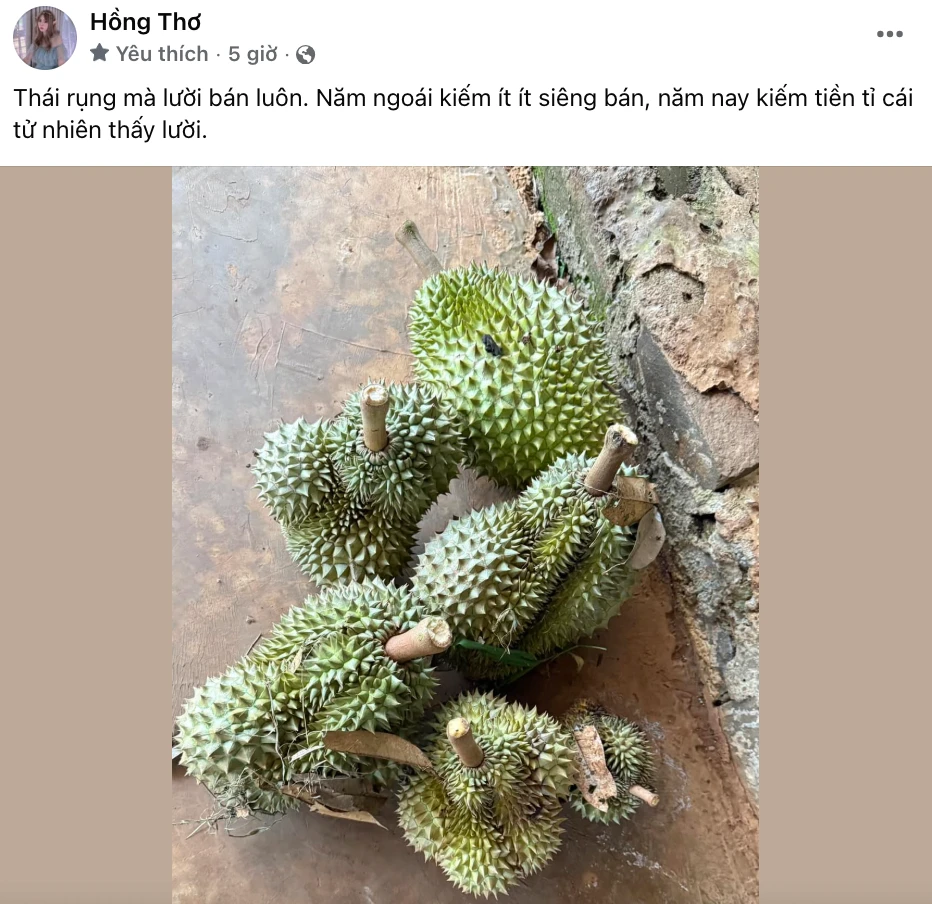 Thơ Nguyễn đăng đàn tuyển chồng, hứa tặng đối phương tài sản khủng - Hình 5
