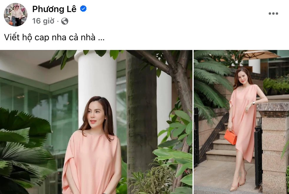 Phương Lê nhìn lại chính mình, nhờ cộng đồng mạng giúp một điều, Vũ Luân ra sao? - Hình 5