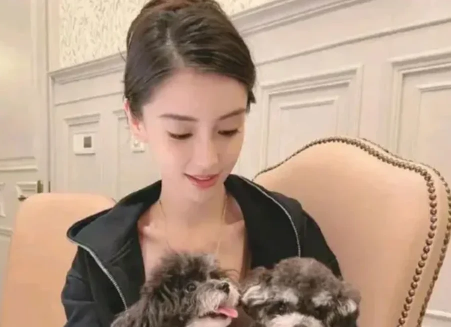 Angelababy hết thời thảm hại, đồn nhà tân hôn đem cho thuê, CĐM sốc - Hình 6