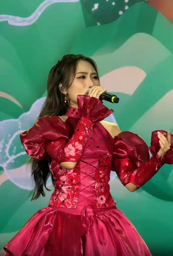 Phương Mỹ Chi cháy sáng rồi vụt tắt, bị CĐM chê giọng live ngay tại quê nhà? - Hình 2