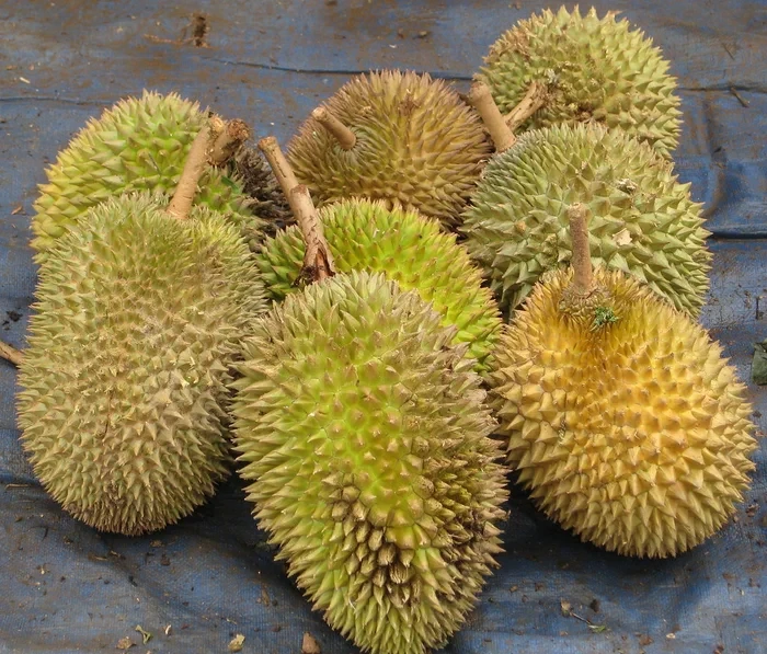 Nam ca sĩ đột quỵ, liệt nửa người sau khi ăn 7 trái sầu riêng, chia sẻ bất ngờ - Hình 2