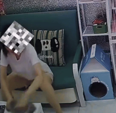 Camera giấu kín ghi lại cảnh hãi hùng tại 1 quán cafe mèo: Cảnh sát vào cuộc - Hình 1