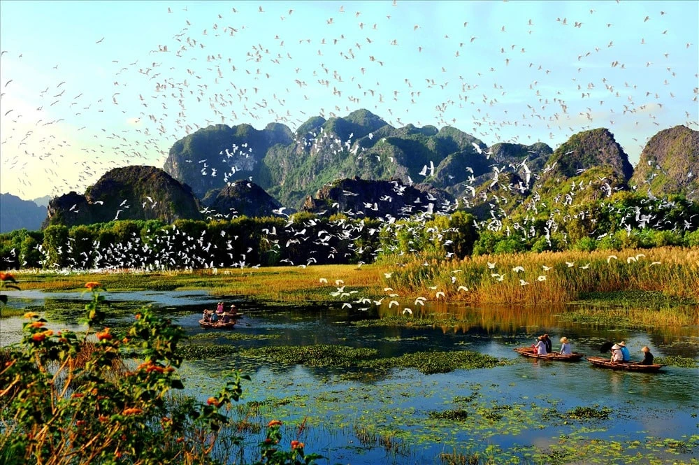 Ninh Bình mê hoặc mọi du khách - Hình 6