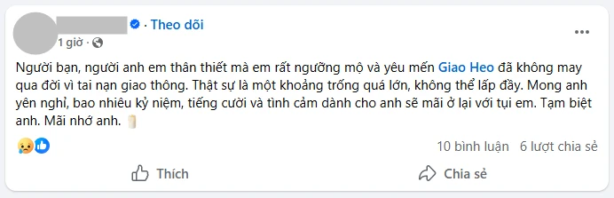 TikToker/ YouTuber Giao Heo đột ngột qua đời ở tuổi 33 - Hình 3