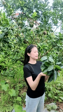 Tiểu thư Doãn Hải My lên đồ sang chảnh, xinh như hoa hậu, khí chất khác hẳn lúc cặm cụi rửa bát ở quê chồng - Hình 4