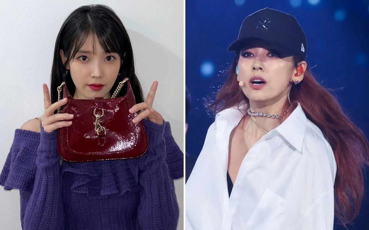 IU và Lee Hyori rộ nghi vấn nghỉ chơi với nhau, liên quan đến một người đàn ông? - Hình 4